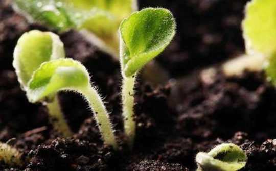 土壤墒情速测仪功能介绍