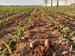 土壤墒情速测仪有哪些优势