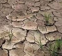 球盟会官网网页版如何进行安装