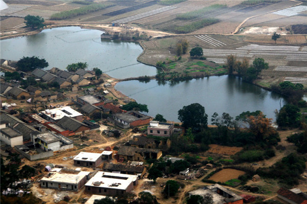 土壤水分对叶片特性有什么影响？