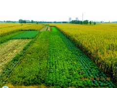 使用土壤墒情速测仪有哪些好处？