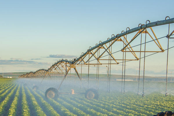 土壤墒情检测仪