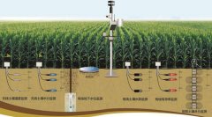 土壤墒情怎么读，在实际农业中应用怎样？