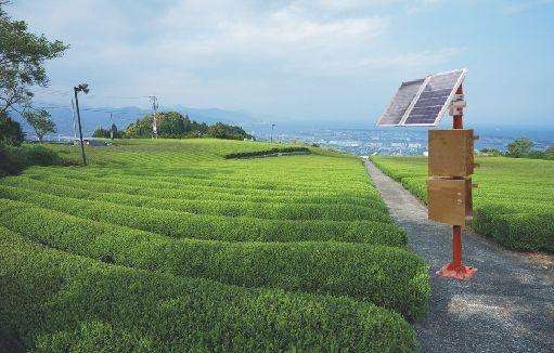 球盟会官网网页版