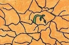 球盟会官网网页版功能介绍