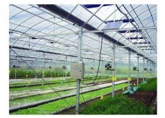 土壤墒情监测系统可以指导温室灌溉吗