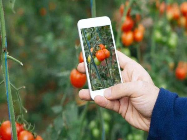 土壤墒情远程监测及预警系统 土壤墒情远程监测及预警系统