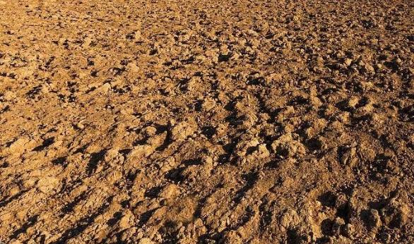 土壤墒情监测烘干法介绍